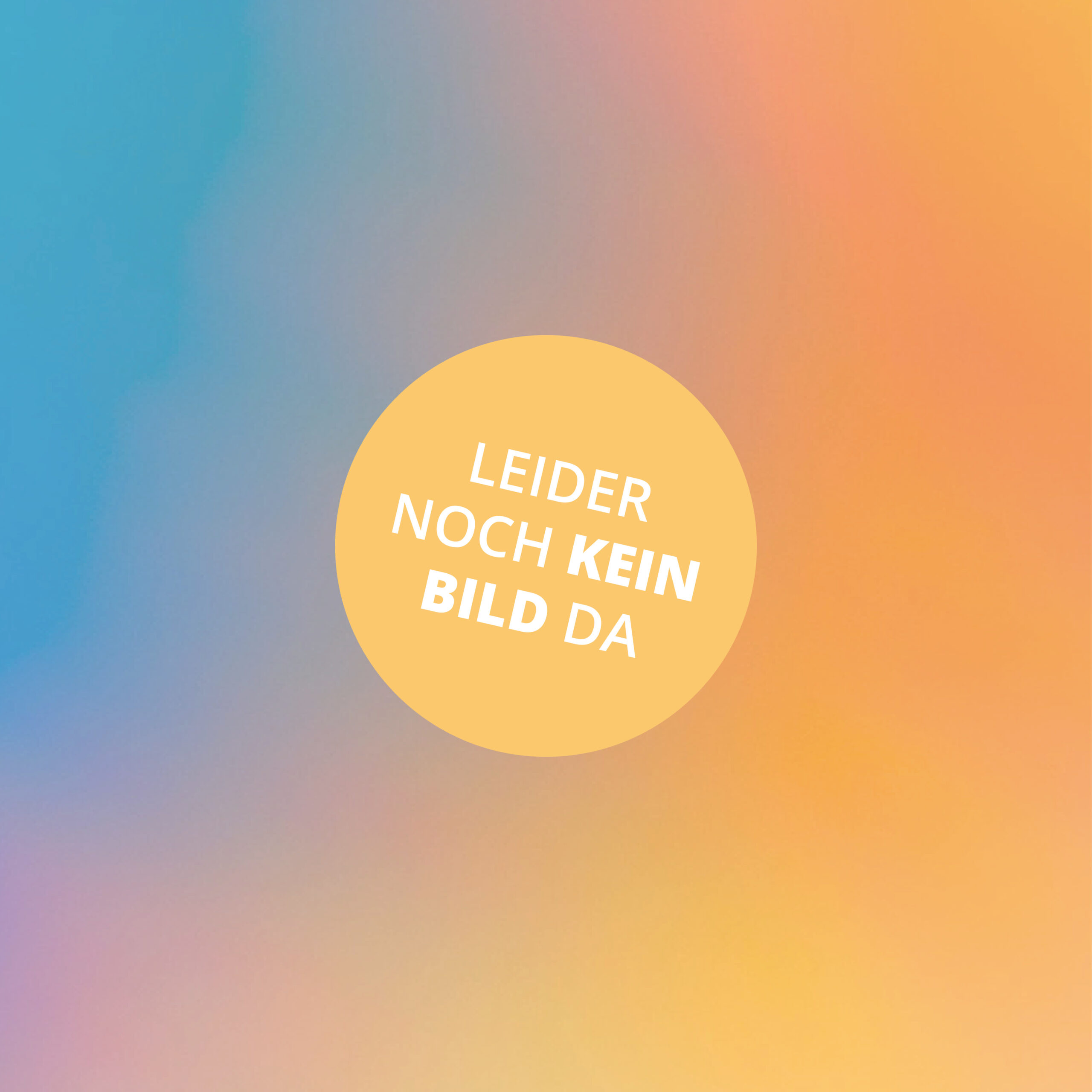 ARTIKELBILDER-2025-kein-Bild-2