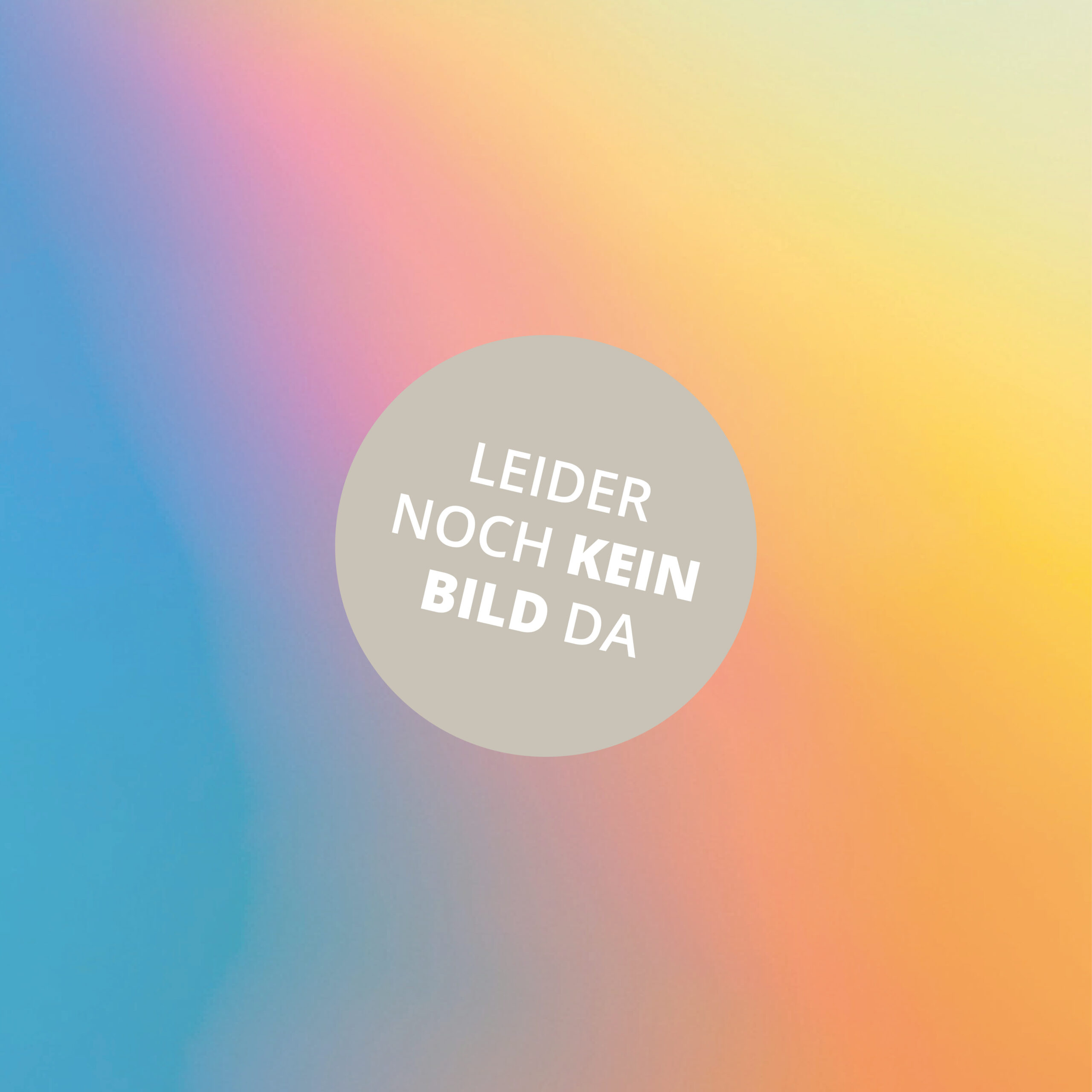 ARTIKELBILDER-2025-kein-Bild-3